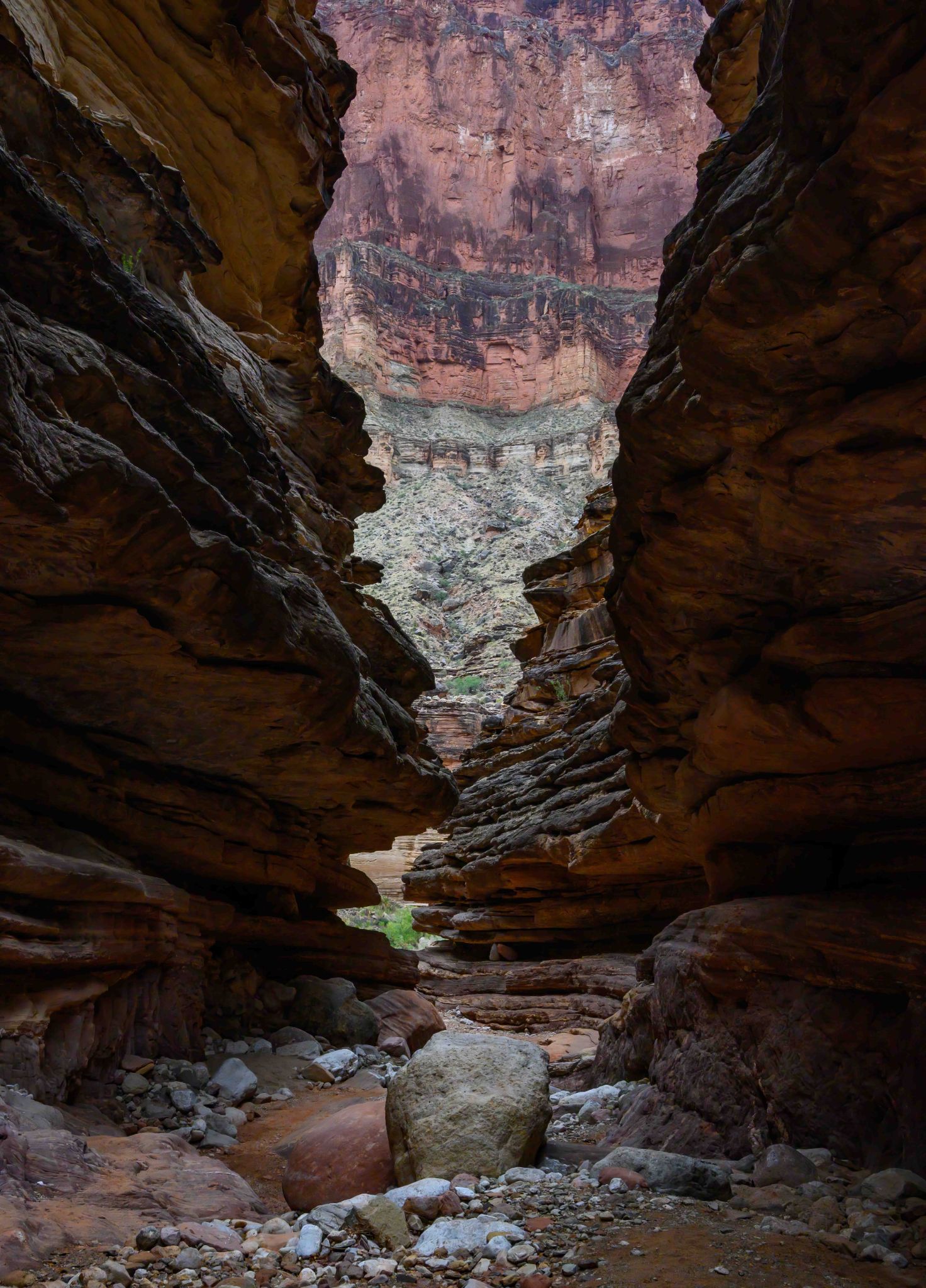 Grand Canyon Fine Art (15 of 23)